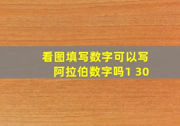 看图填写数字可以写阿拉伯数字吗1 30